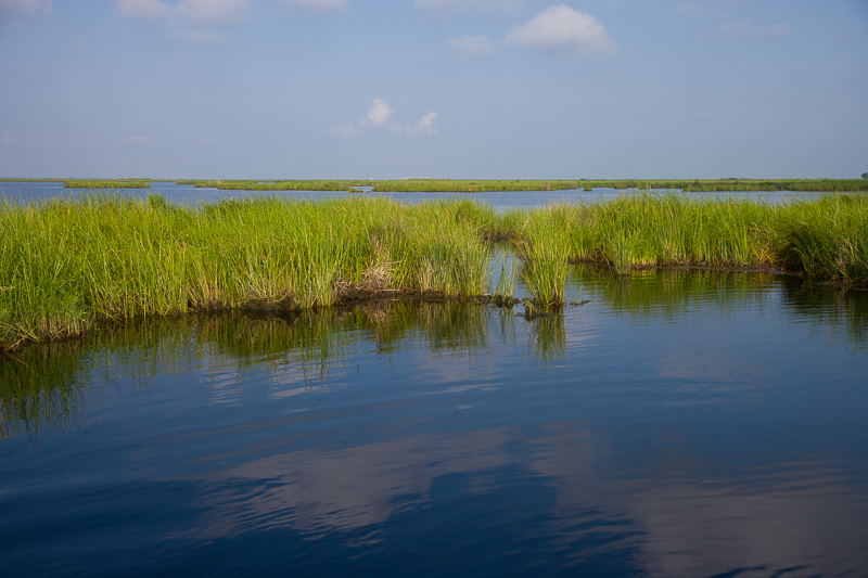 20070602_marsh_017