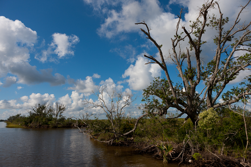 20090928_hopedalemarsh_009